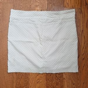Briggs Skirt Size 16